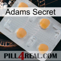 Adams Secret 24